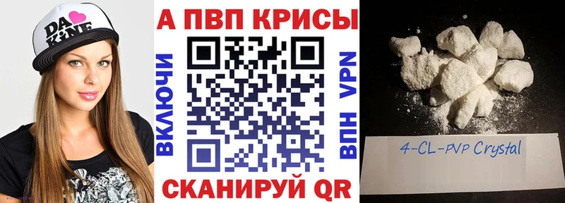 APVP крисы CK blacksprut tor Новоржев где продают